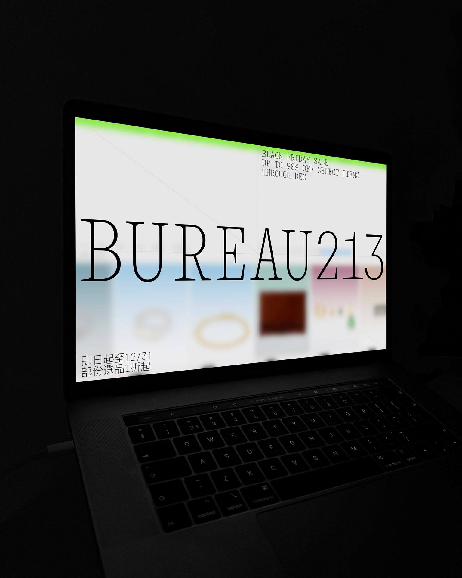 Bureau 213 Website (fig. 1)